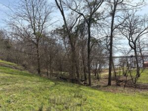 Breaking Ground Outdoor Services (8)