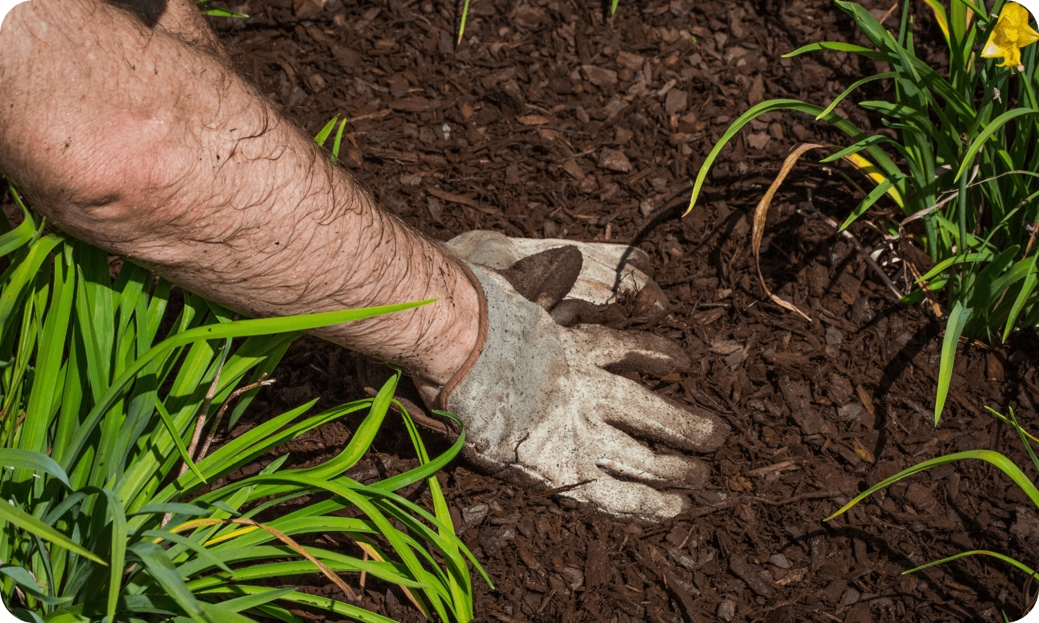 Full Landscape – Mulch & Flower Beds