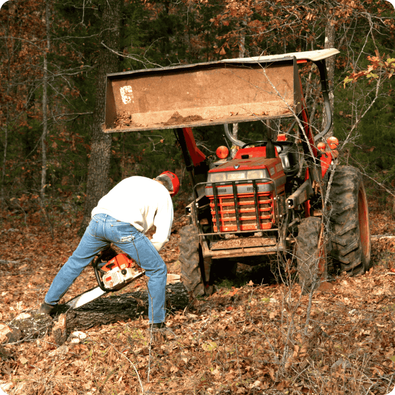 efficient-land-clearing-site-prep