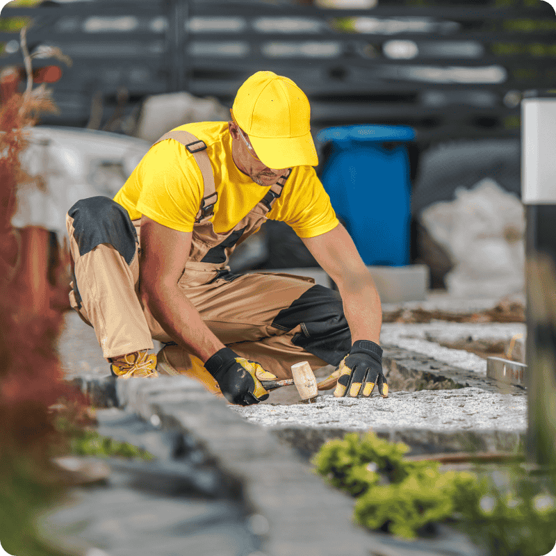professional-landscaping-solutions